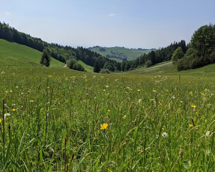 Holzschlagermatte